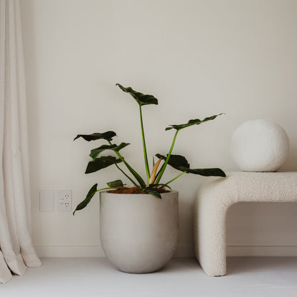 Lisbon 400 Planter. 40cm W x 40cm H.