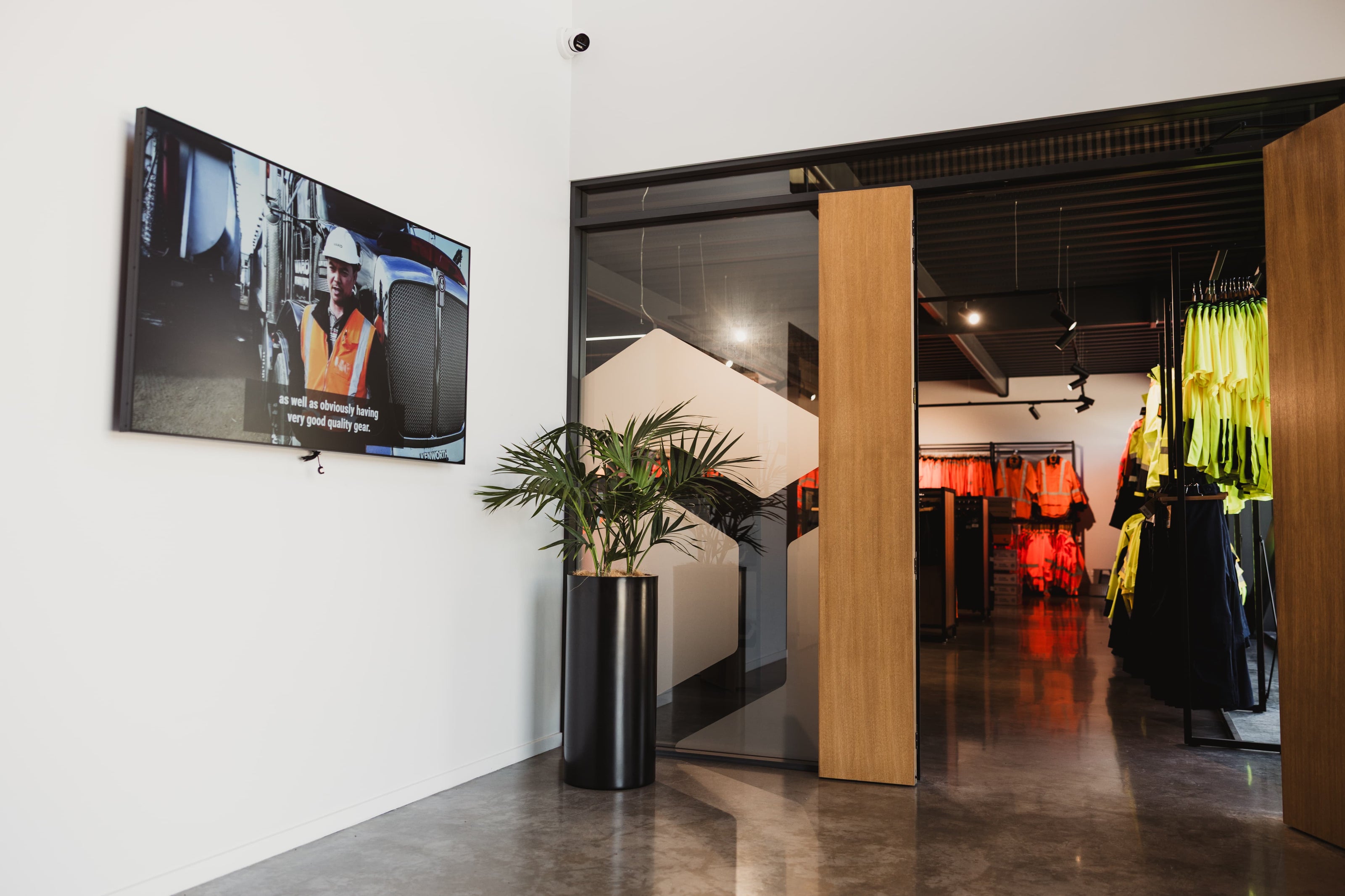 Modern interior with a television on the wall and a plant in the foreground.