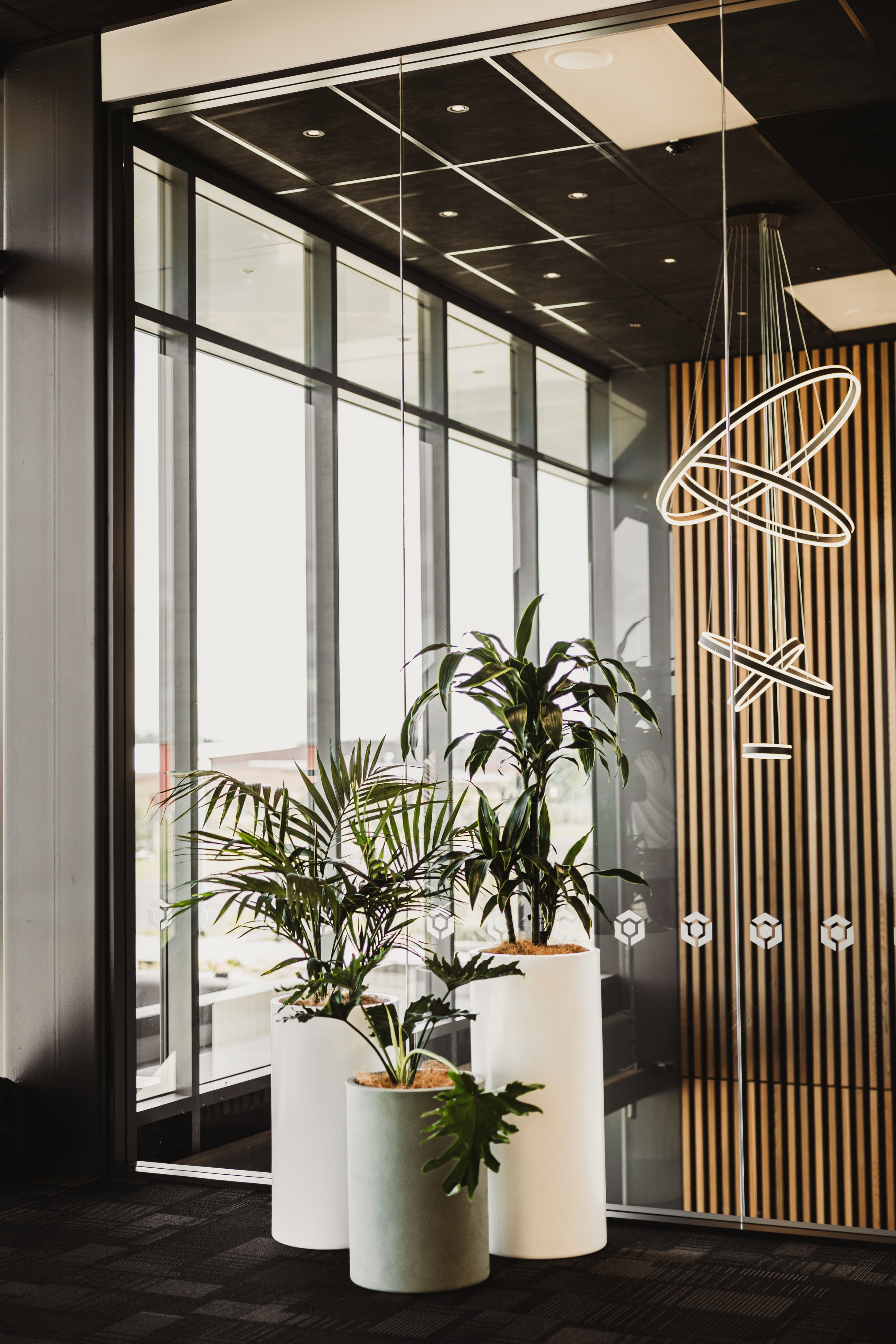 Cylindrus plant pot cluster in modern office space.