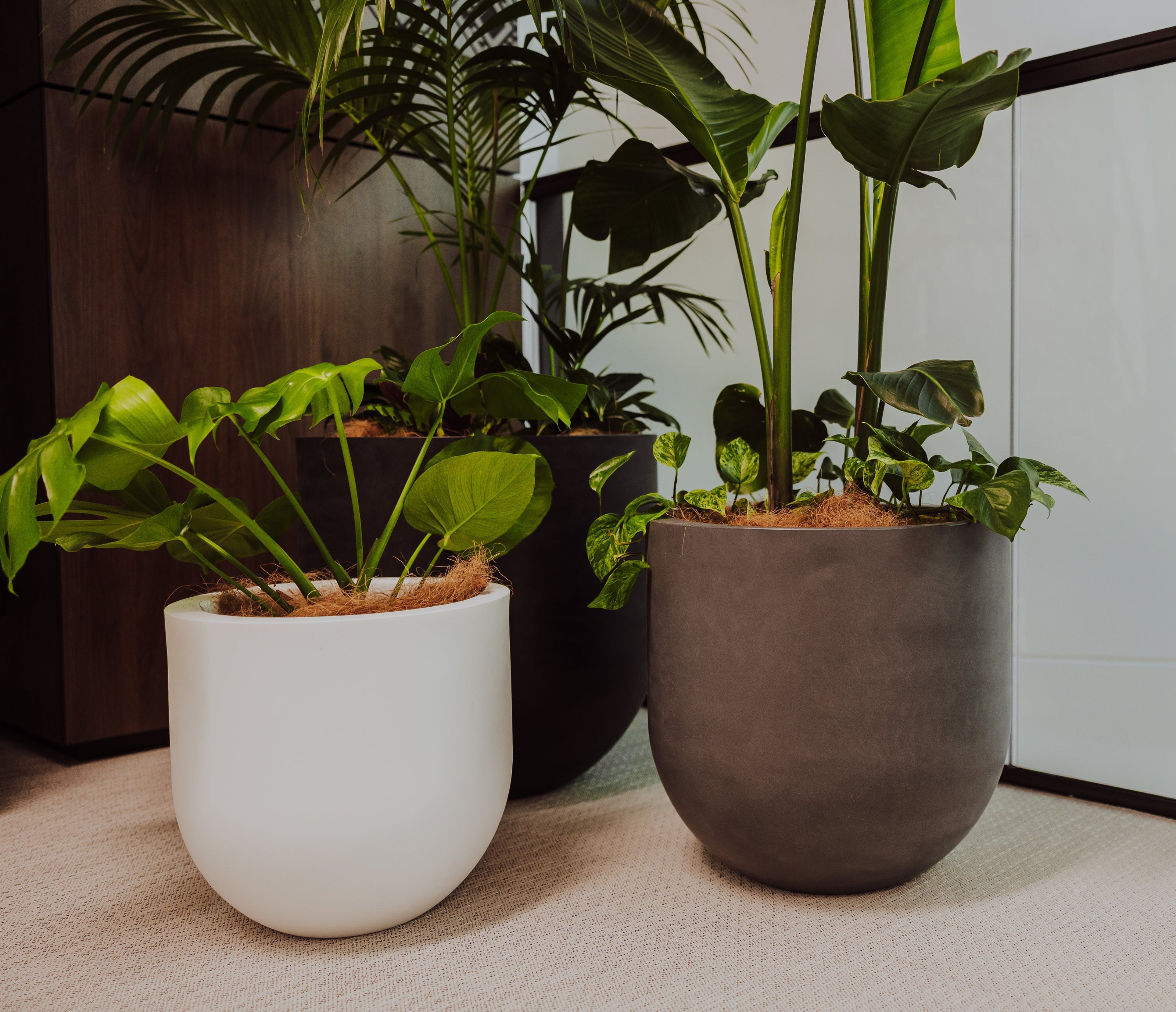 Three potted plants in different pots on a light-colored floor.