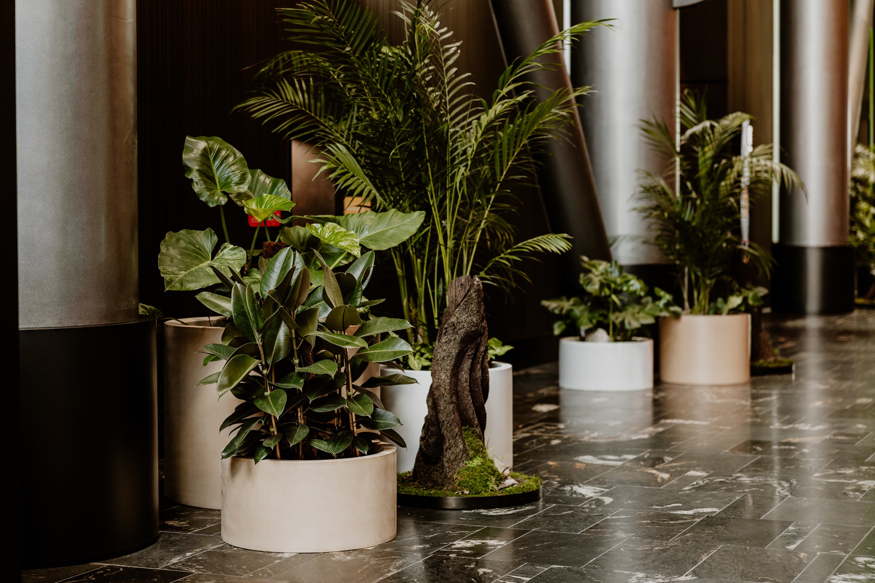 Potted plants on a marble floor with a modern interior background